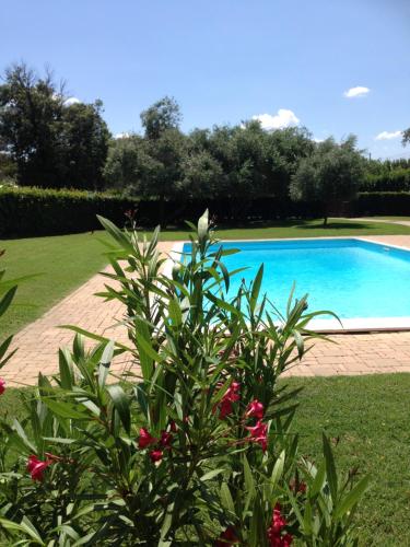 Il Giardino — hotel in Quercianella