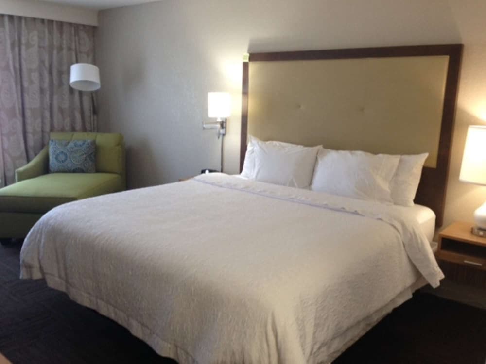 Hampton Inn Tampa Rocky Point Airport - photo 7