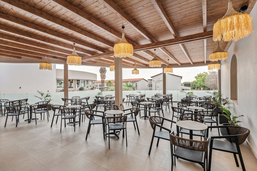 מראה חיצוני