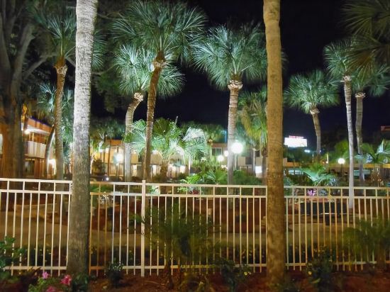 Maingate Kissimmee Hotel - photo 4
