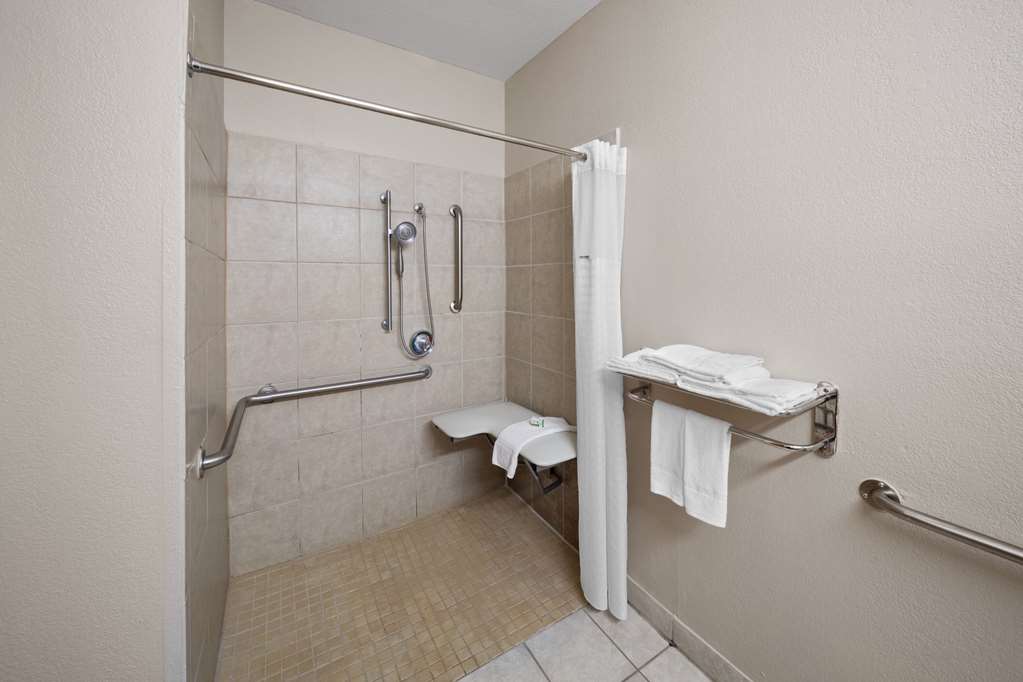Baymont by Wyndham Houston Brookhollow - photo 31