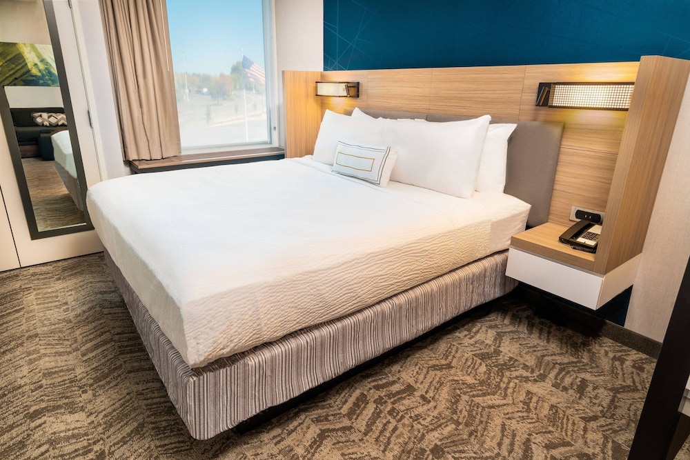 SpringHill Suites by Marriott Newark Fremont - photo 12