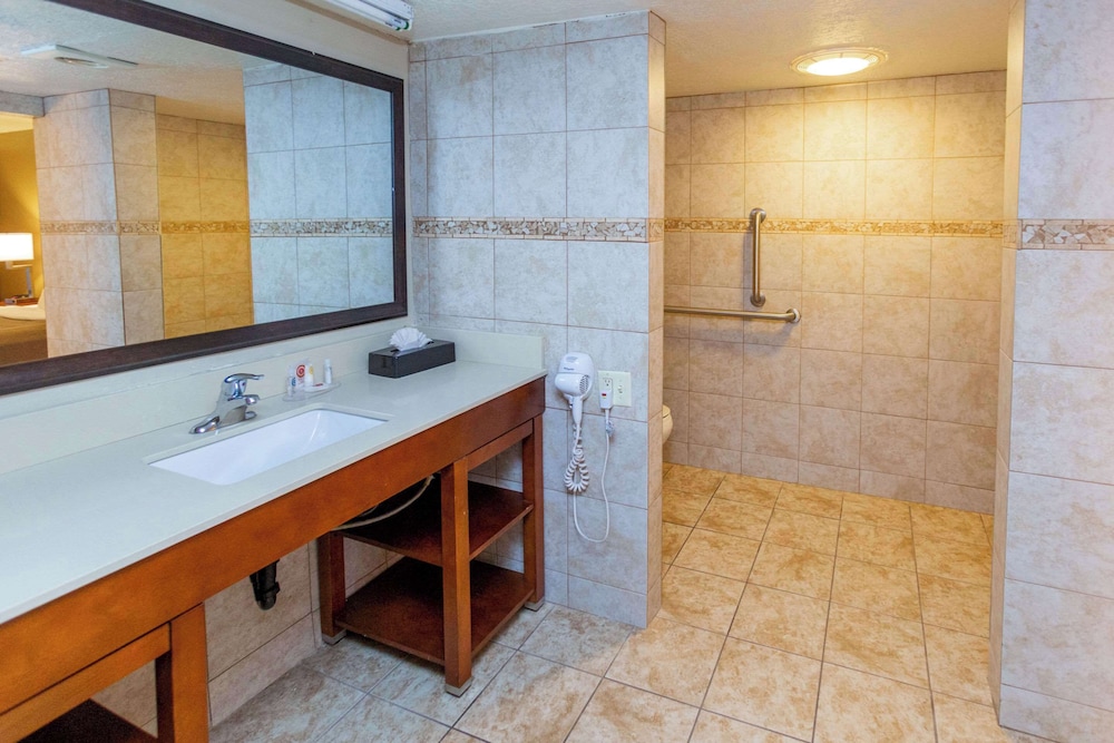 Comfort Inn Salt Lake City Downtown - photo 29