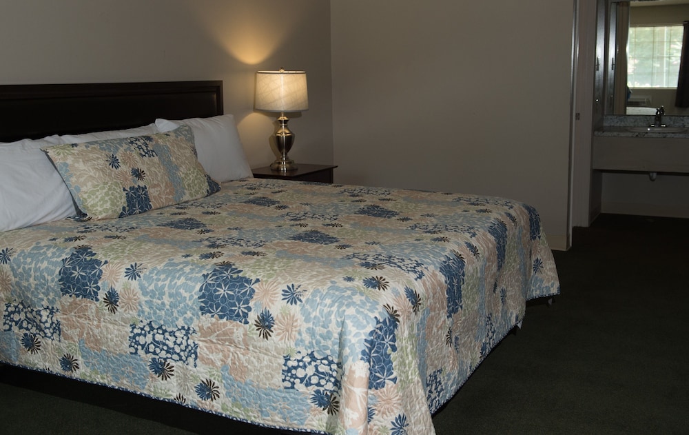Motel 103 - photo 7