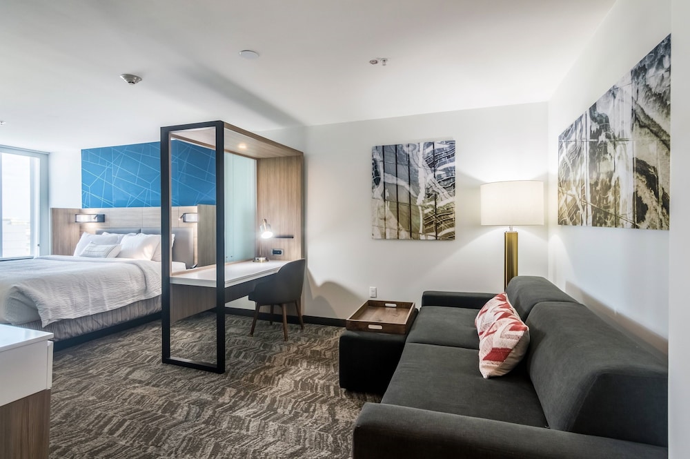 SpringHill Suites by Marriott Oklahoma City Downtown - photo 4