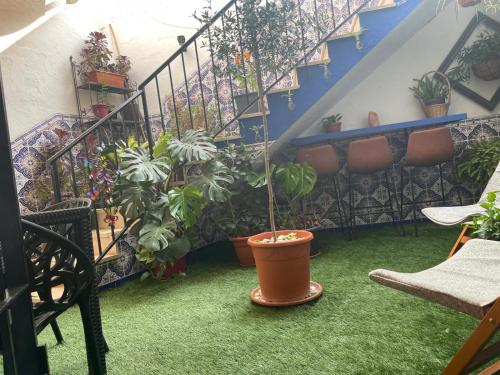 Mi pequeño paraiso