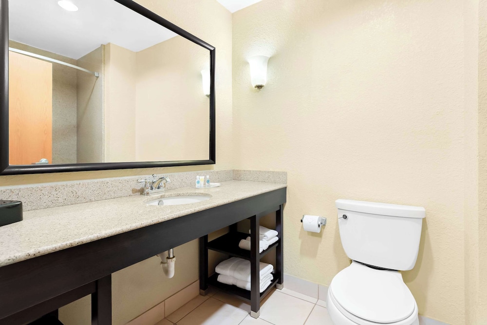 Comfort Suites Tampa Airport North - photo 20