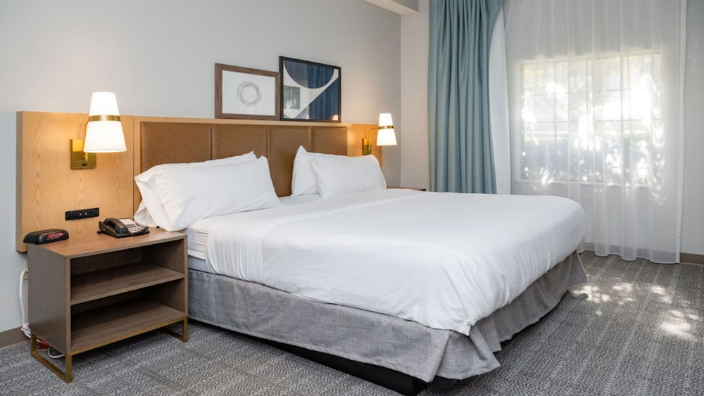 Staybridge Suites Jackson by IHG - photo 25