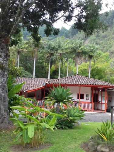 Hostal Rio Arabia Valle De Cocora HOTEL in Salento, Colombia