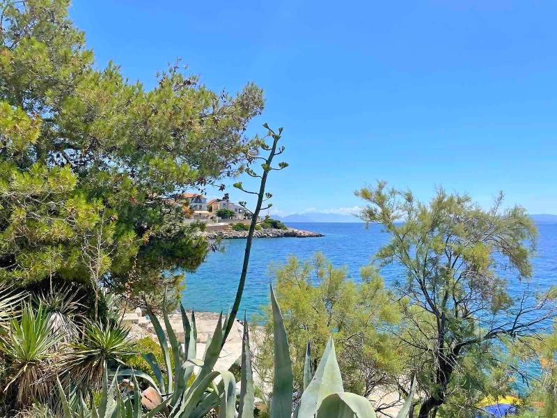 Papic in Hvar, Croatia