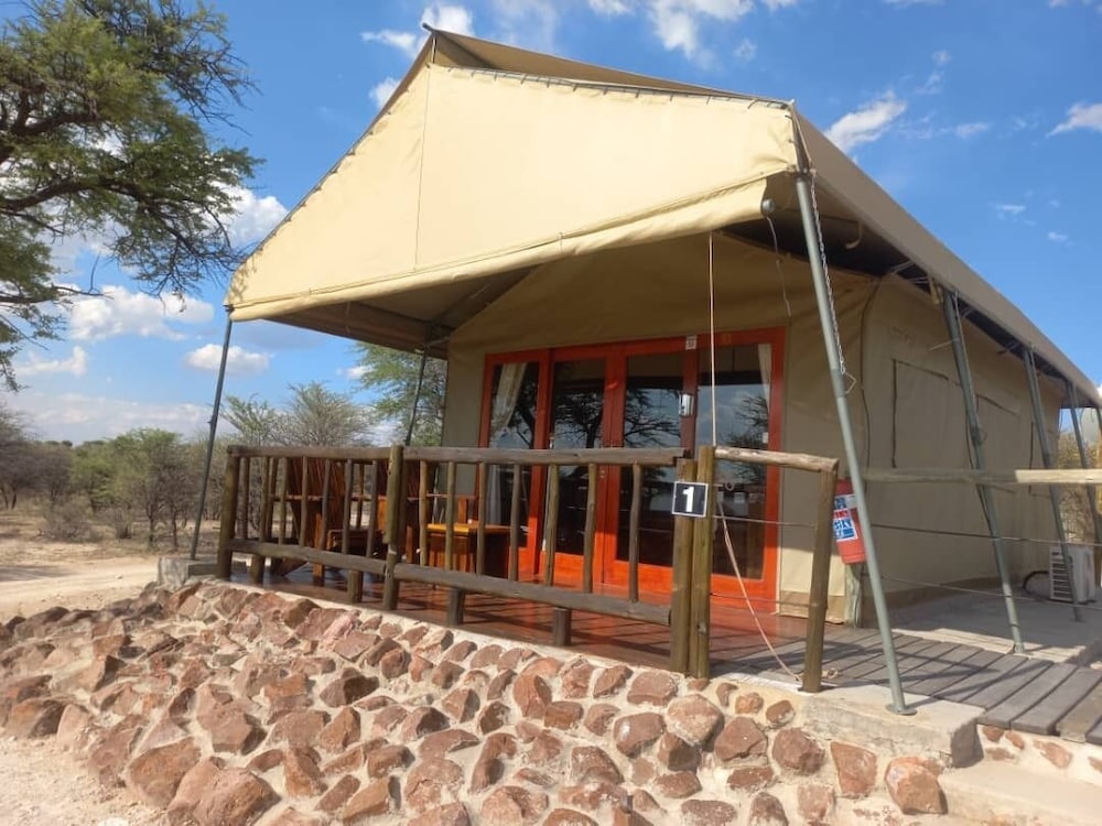 Tsabong Eco Tourism Camel Park in Tshabong, Botswana