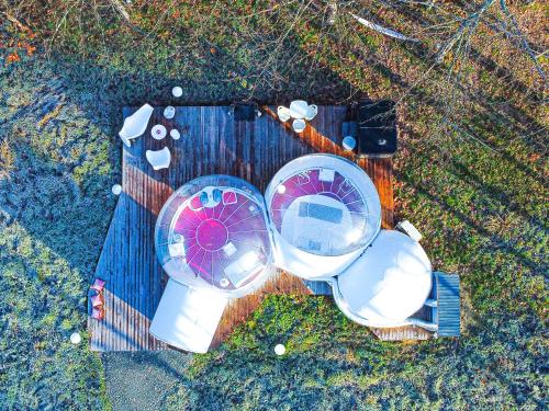 L Ost in Sensations Hebergements Insolites Et Suites de Luxe SPA Sauna Piscine Foret pet-friendly hotel Laruscade