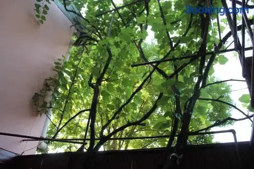 Hostel Old City Sololaki
