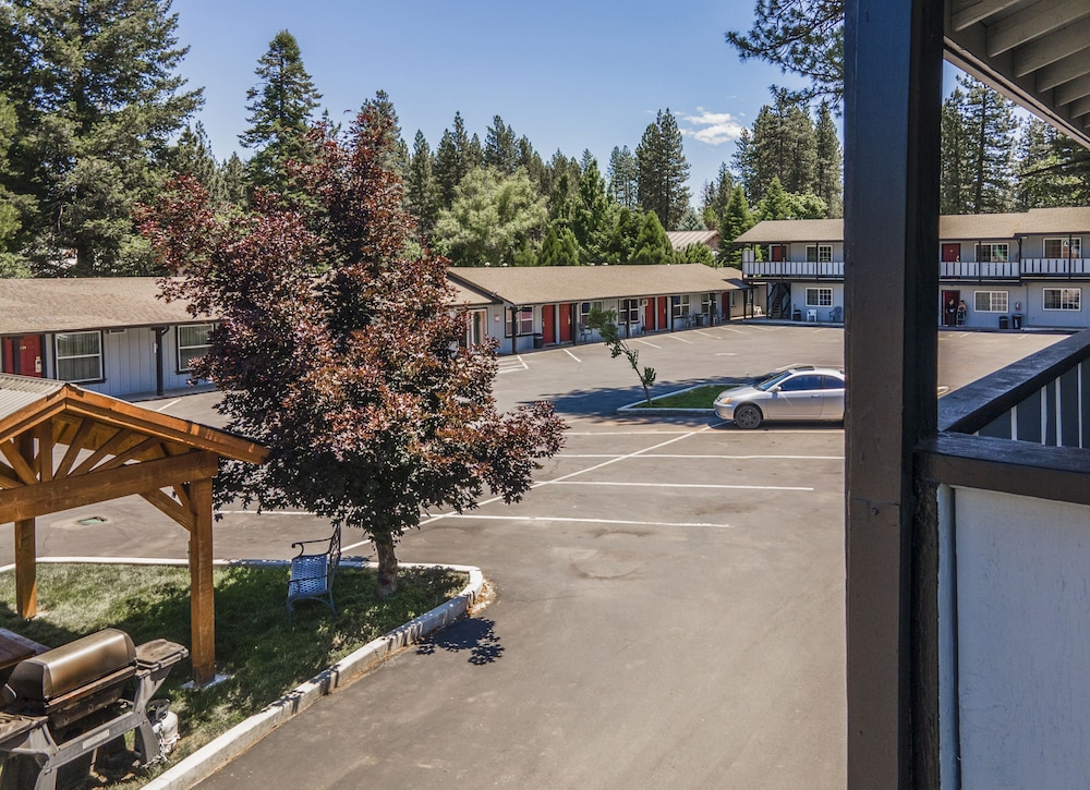 Charm Motel & Suites - photo 84