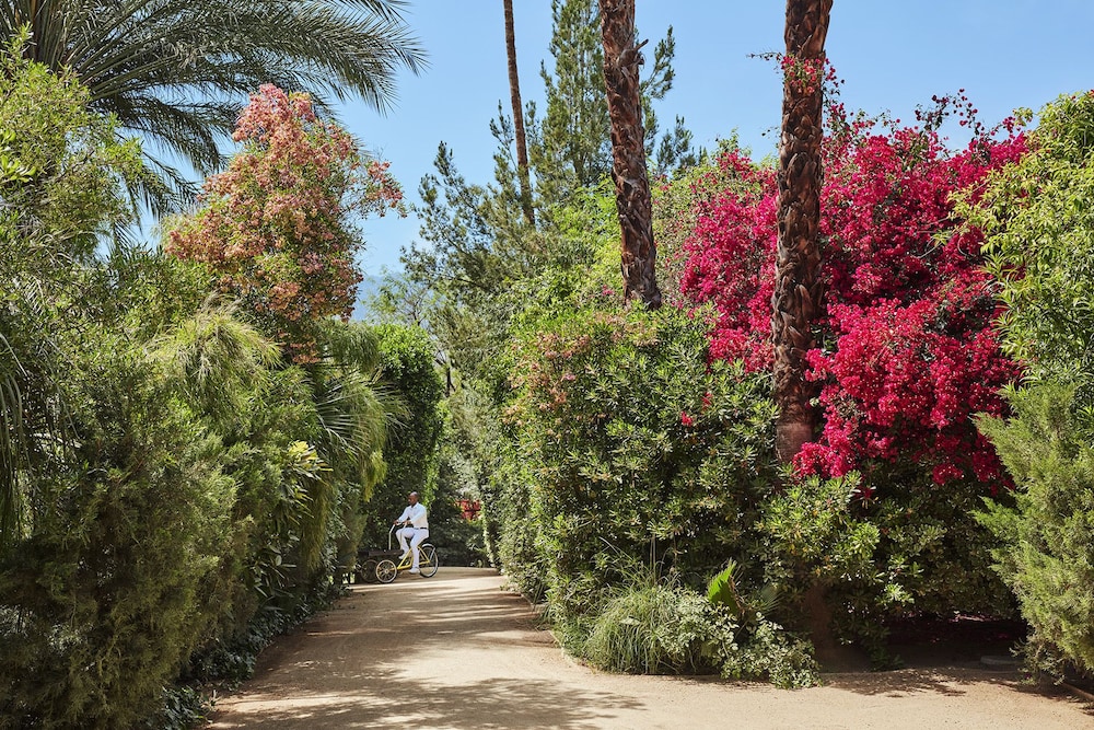 Parker Palm Springs - photo 57