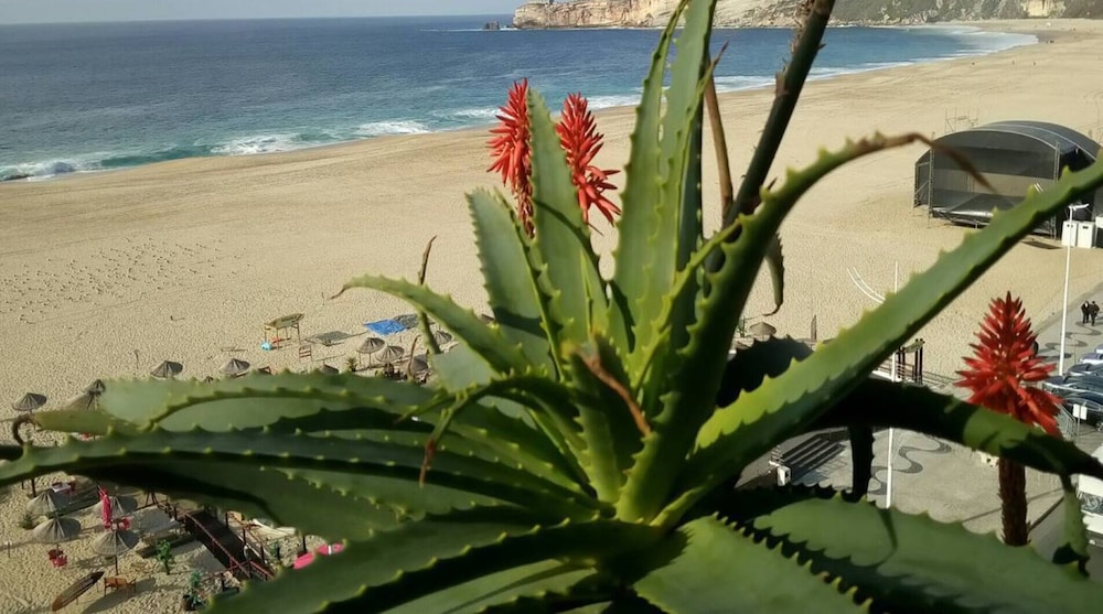 2 Bed Flat Sleeps 4 Parking Wifi — 4-Star Luxury Hotel in Nazare, Portugal