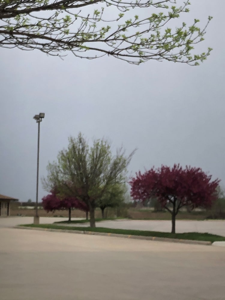 Americas Best Value Inn Onawa - photo 26