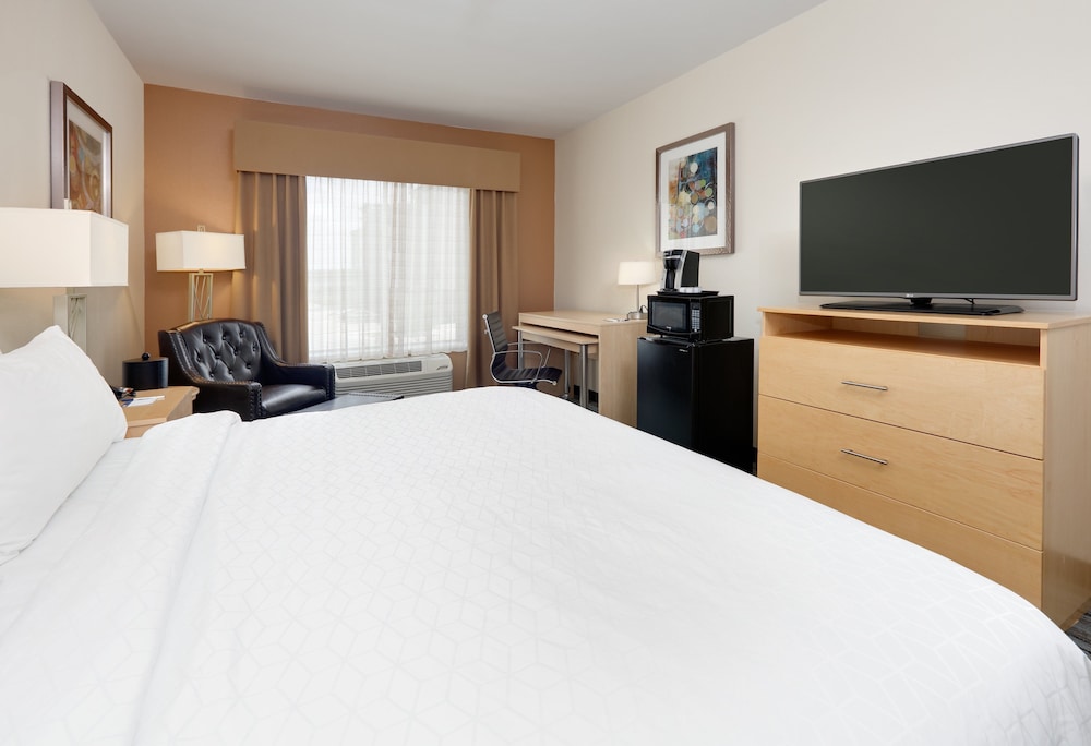 Holiday Inn Express & Suites San Antonio Brooks City Base by IHG - photo 3