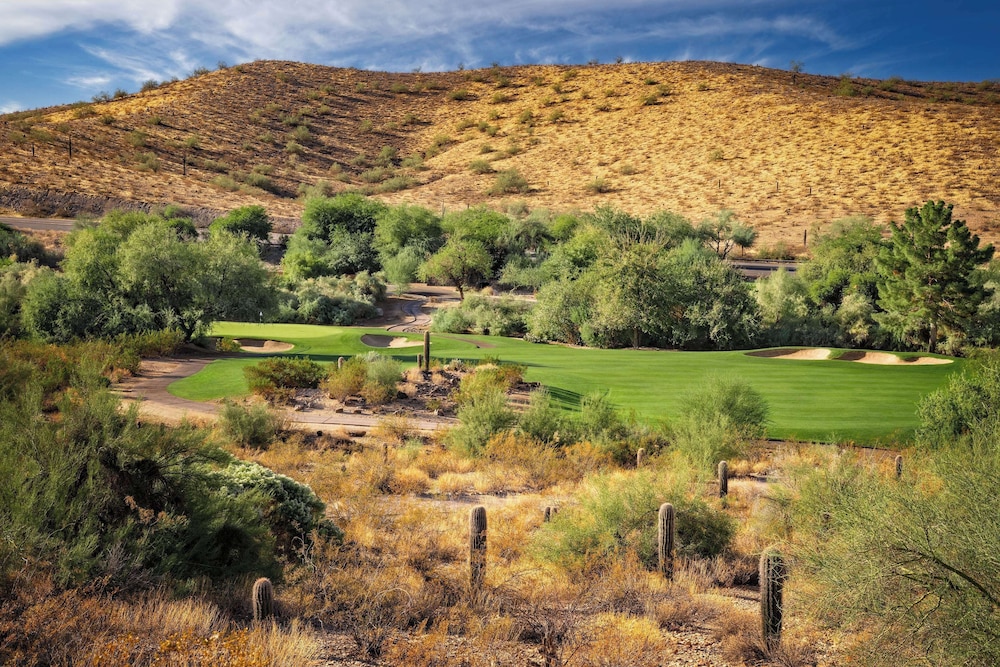 Hilton Phoenix Tapatio Cliffs Resort - photo 95
