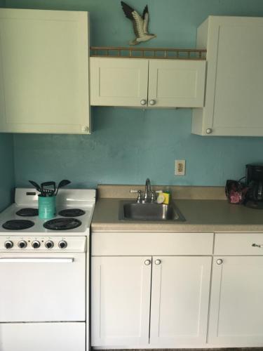 South Beach Inn - photo 21