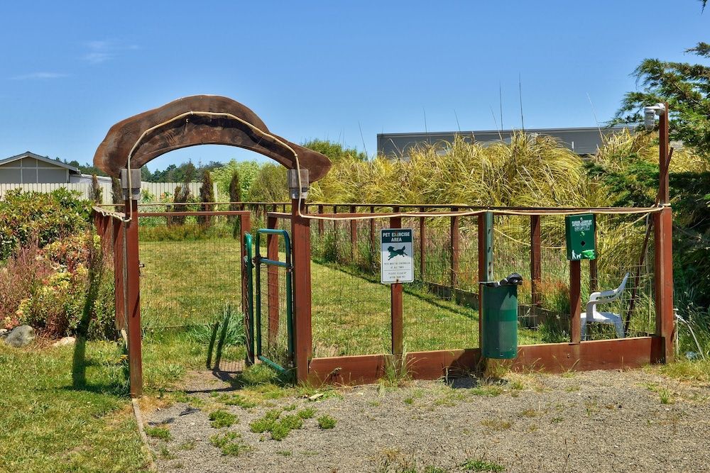 Surf Motel and Gardens - photo 28