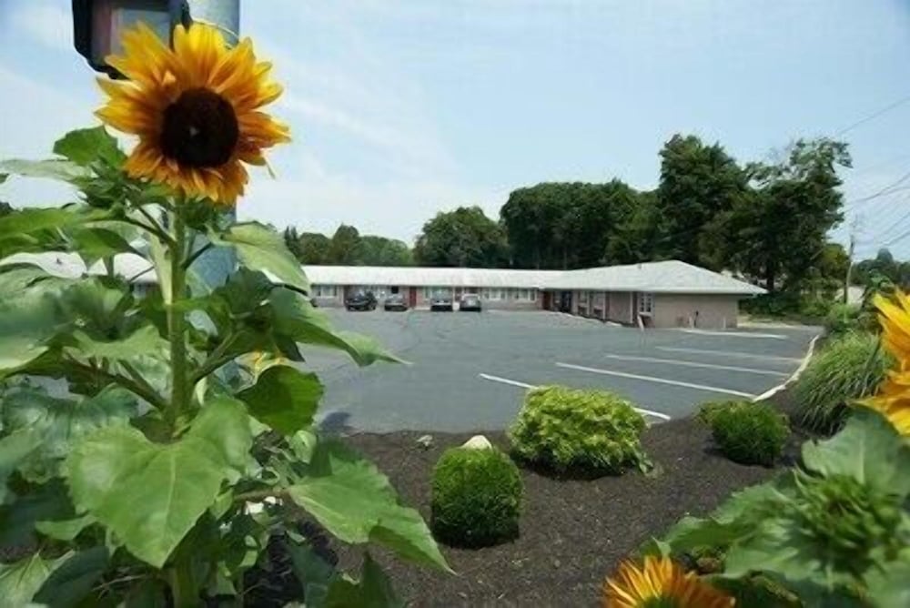 Clinton Motel - photo 21