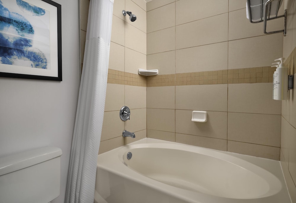 Hilton Garden Inn Tampa East Brandon - photo 20