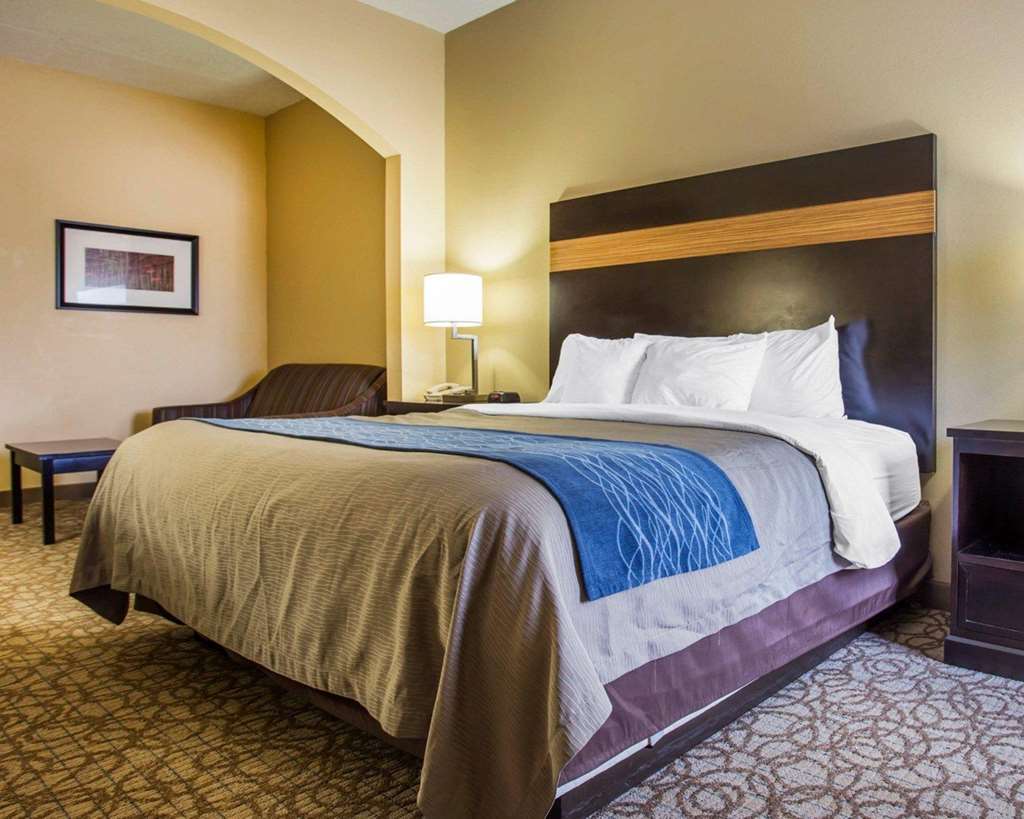 Comfort Inn & Suites at Stone Mountain - photo 18