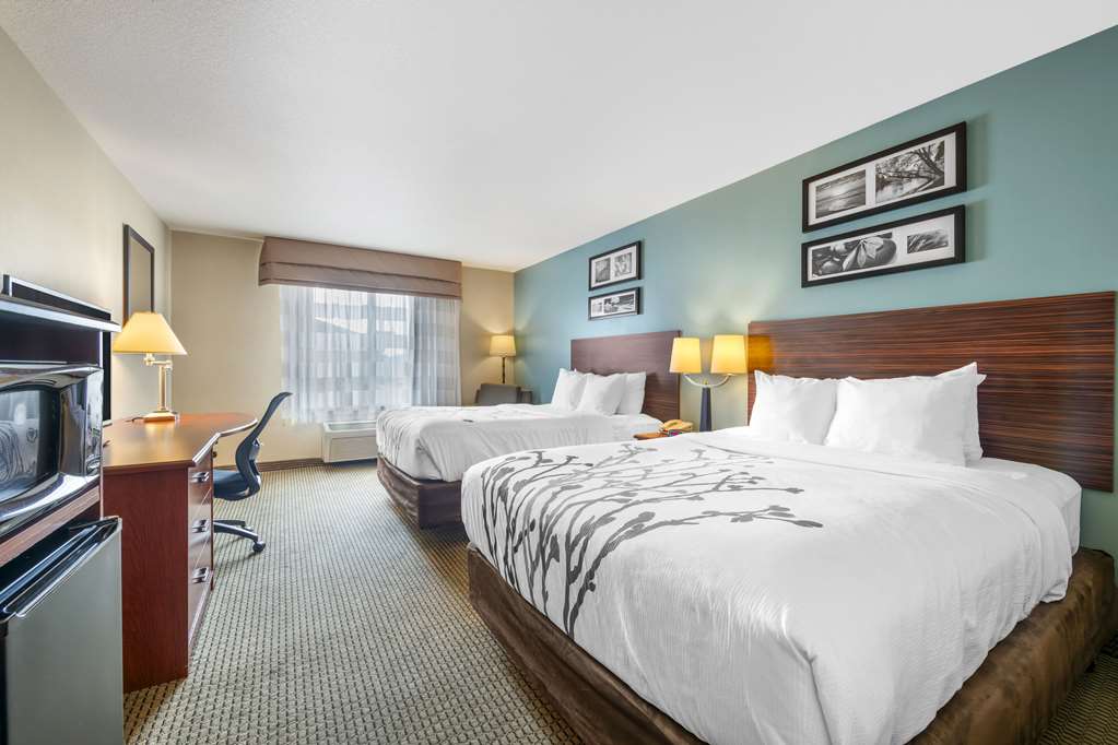 Sleep Inn & Suites Rapid City - photo 15