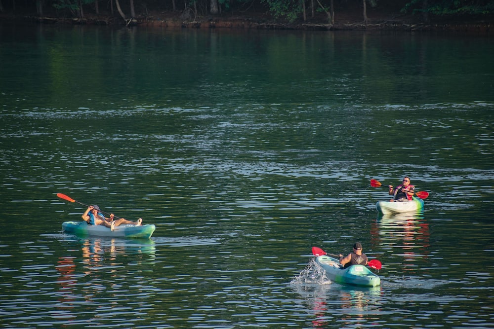 Lanier Islands Legacy Lodge - photo 59