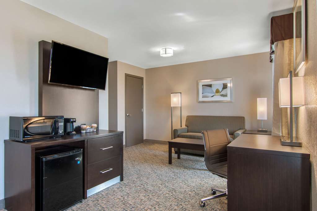 Clarion Inn & Suites Atlanta Downtown - photo 21