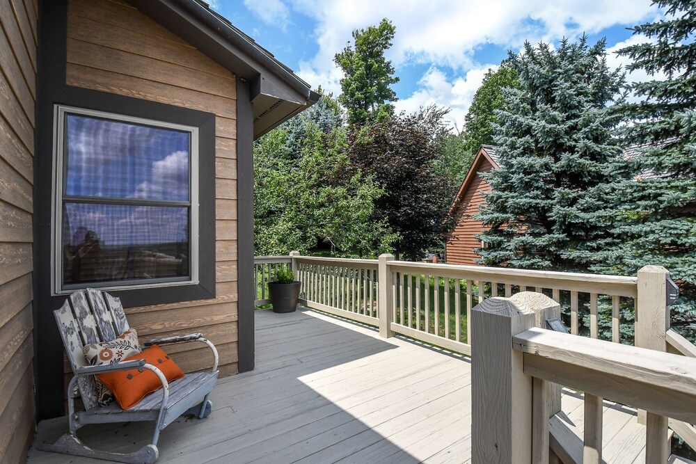 Bear's Eye View - photo 33