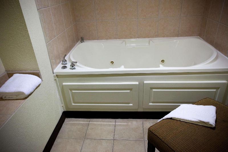 Hampton Inn Carrollton - photo 63