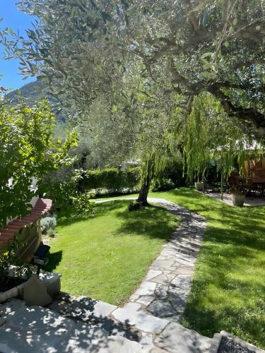 Salice Felice in Ventimiglia, Italy