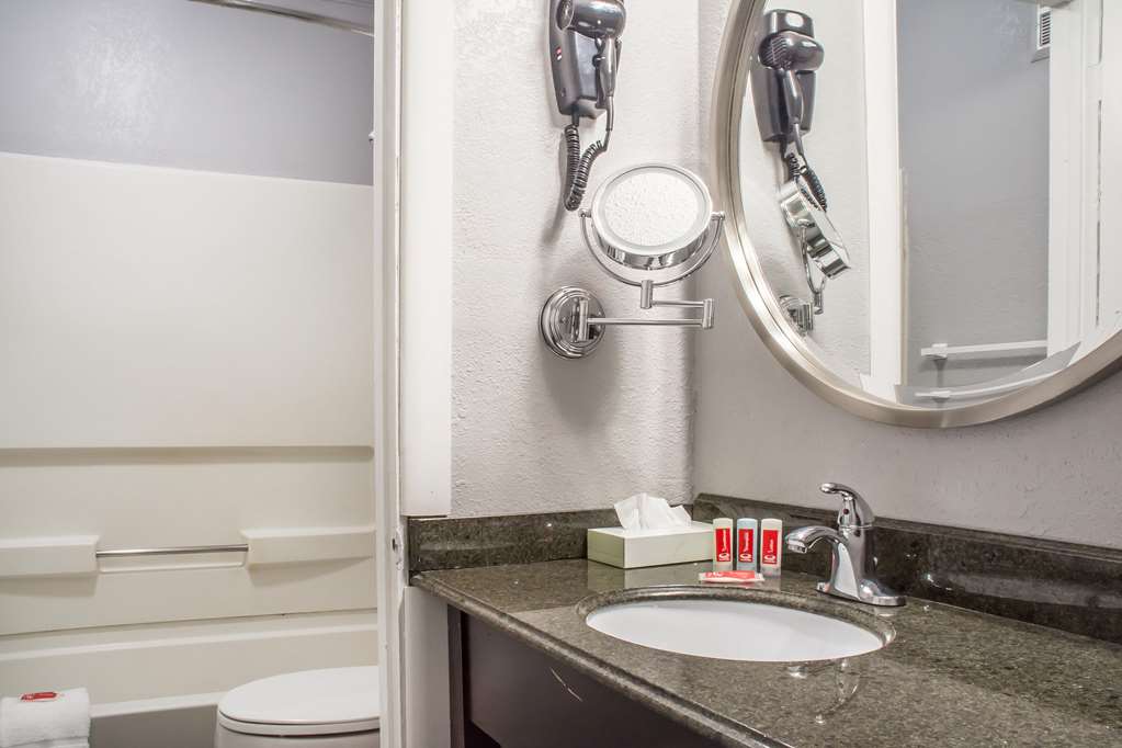 Econo Lodge Brockport - photo 22