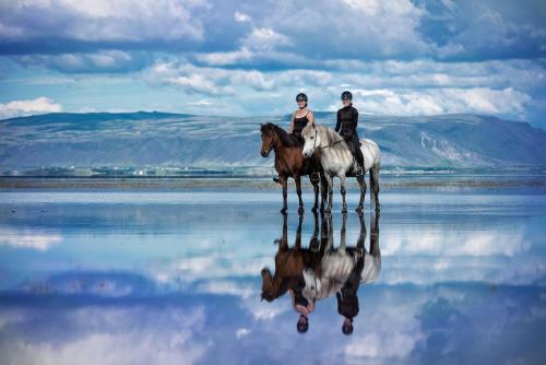 Cora s House & Horses