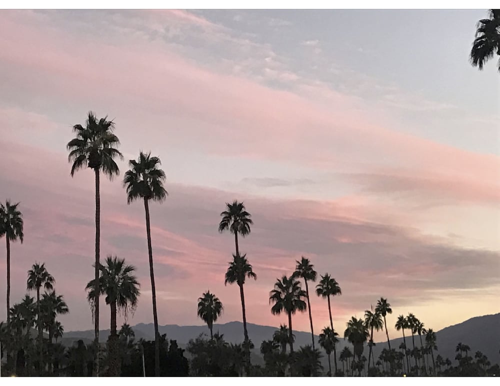 Delos Reyes Palm Springs - photo 45