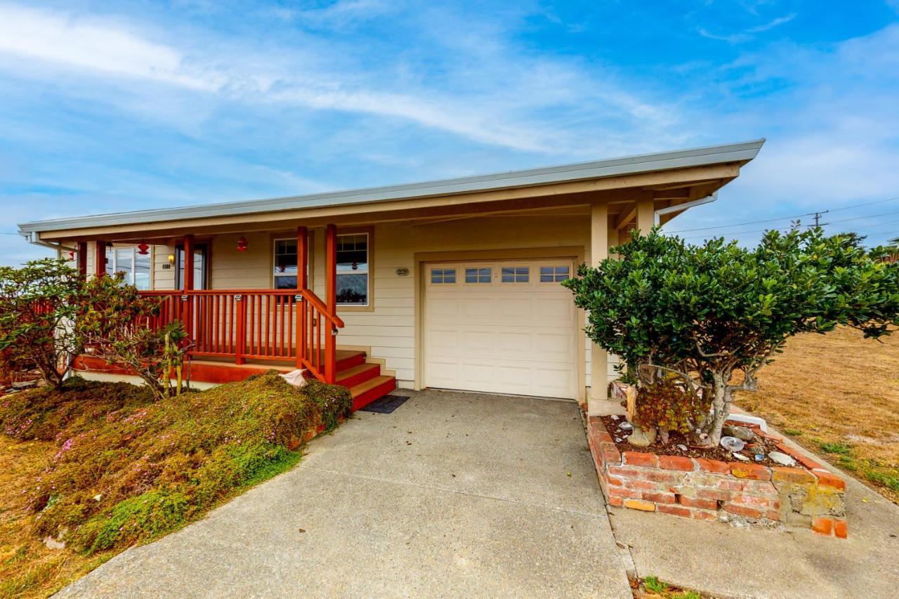 Coastal Dream — Bodega Bay — photo 2