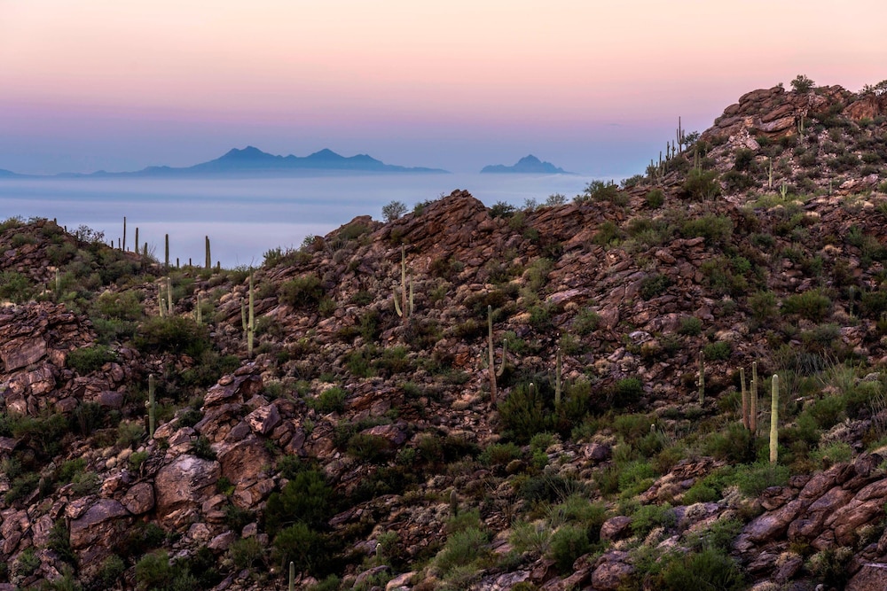 The Ritz Carlton Dove Mountain - photo 113