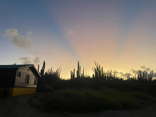 Cozy Casitas — Paradera — photo 3