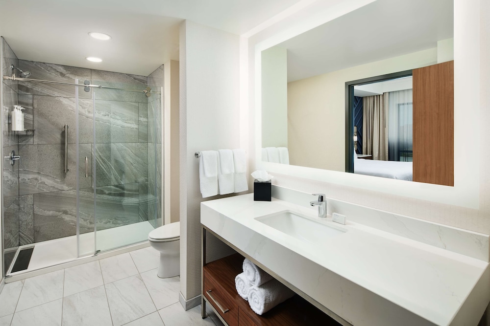 Embassy Suites by Hilton Atlanta Airport North - photo 20