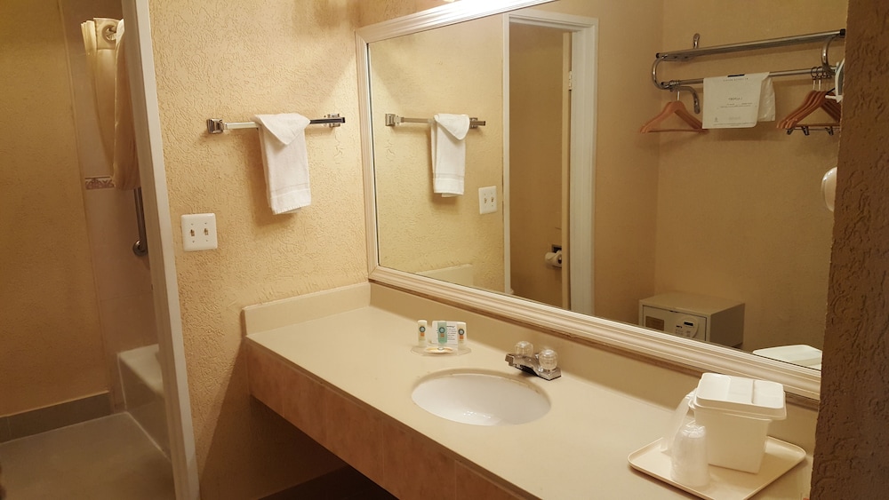 Econo Lodge Busch Gardens - photo 44