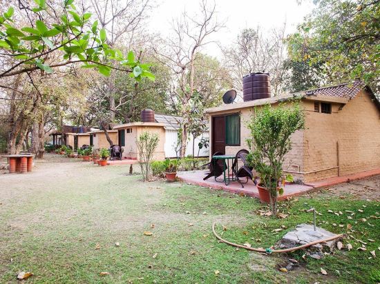 Corbett Jungle Lore - last minute hotel in Ramnagar