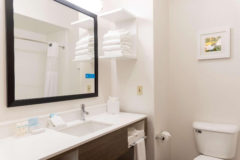 Hampton Inn & Suites East Lansing Okemos - photo 12