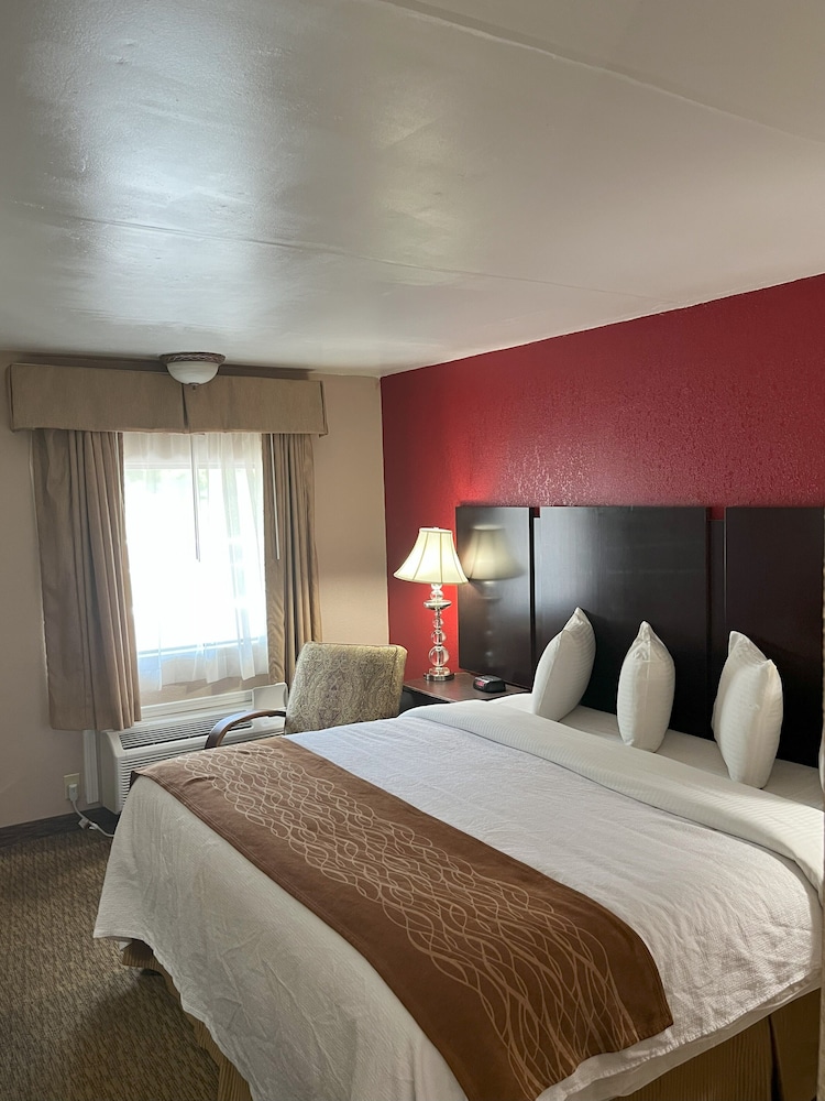 Pine Tree Inn - photo 17