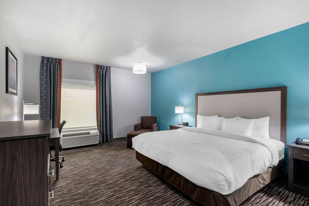 Clarion Inn & Suites DFW North - photo 24