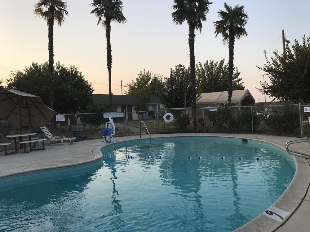 99 Palms Inn & Suites - photo 23