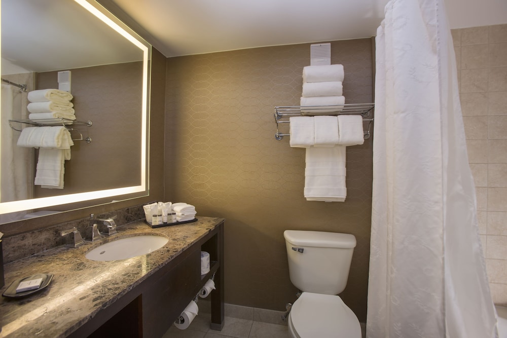 Sheraton Orlando North Hotel - photo 36