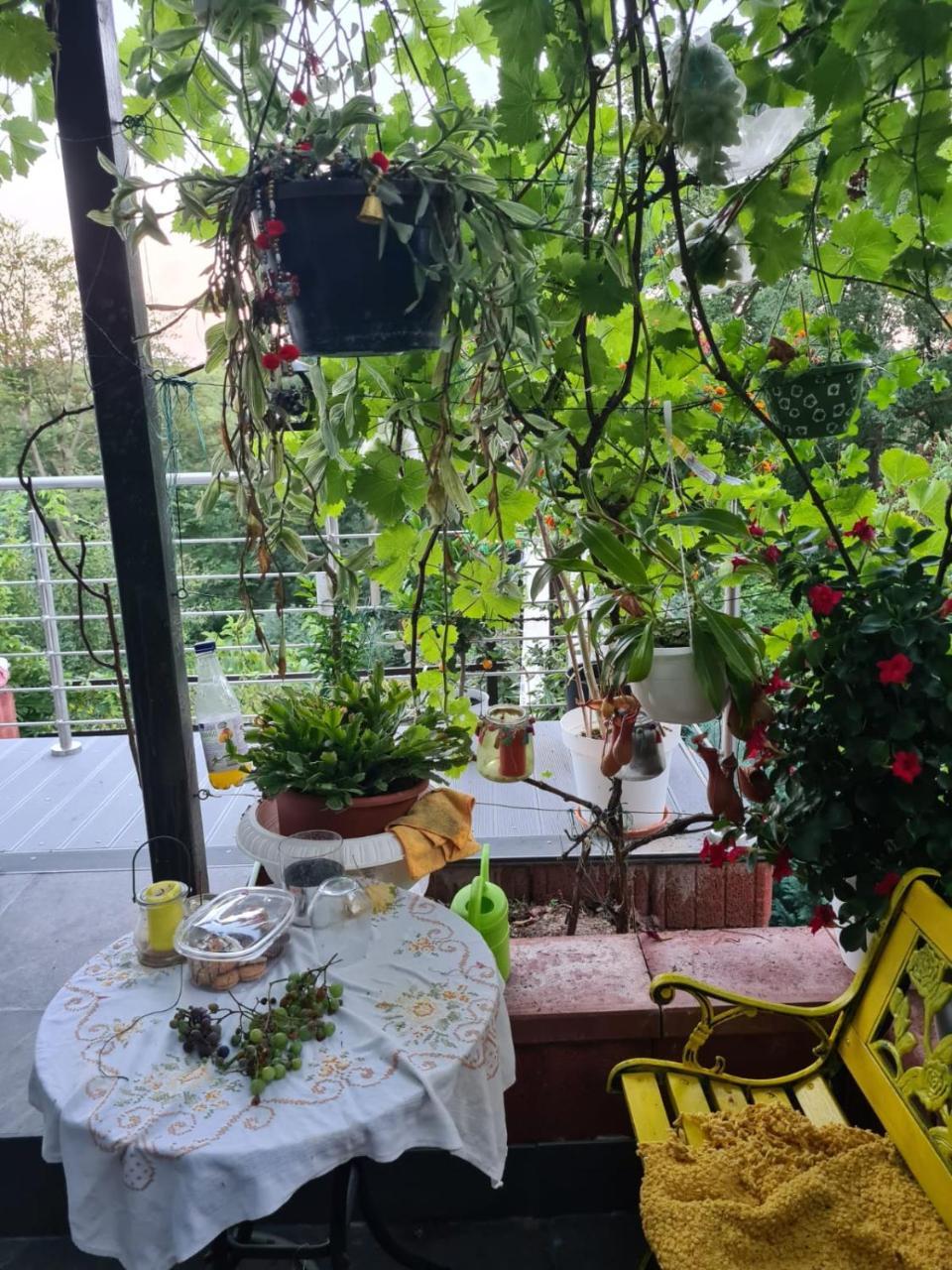 Cozy Room with a Beautiful Garden View — hotel in Baunatal