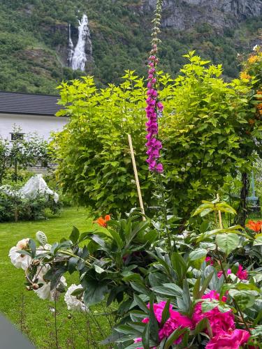 Flåm Tinyhouse with a Waterfall View - carbon neutral hotel in Unknown City